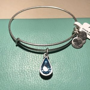 NWT Alex and Ani Living Water Charm Bangle NWT